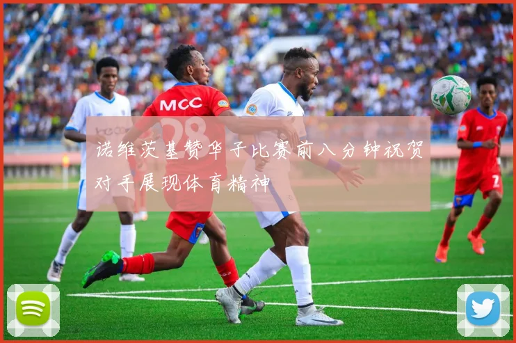 诺维茨基赞华子比赛前八分钟祝贺对手展现体育精神